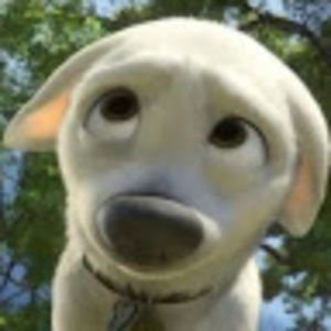 Meet your Posher, Ashlyn